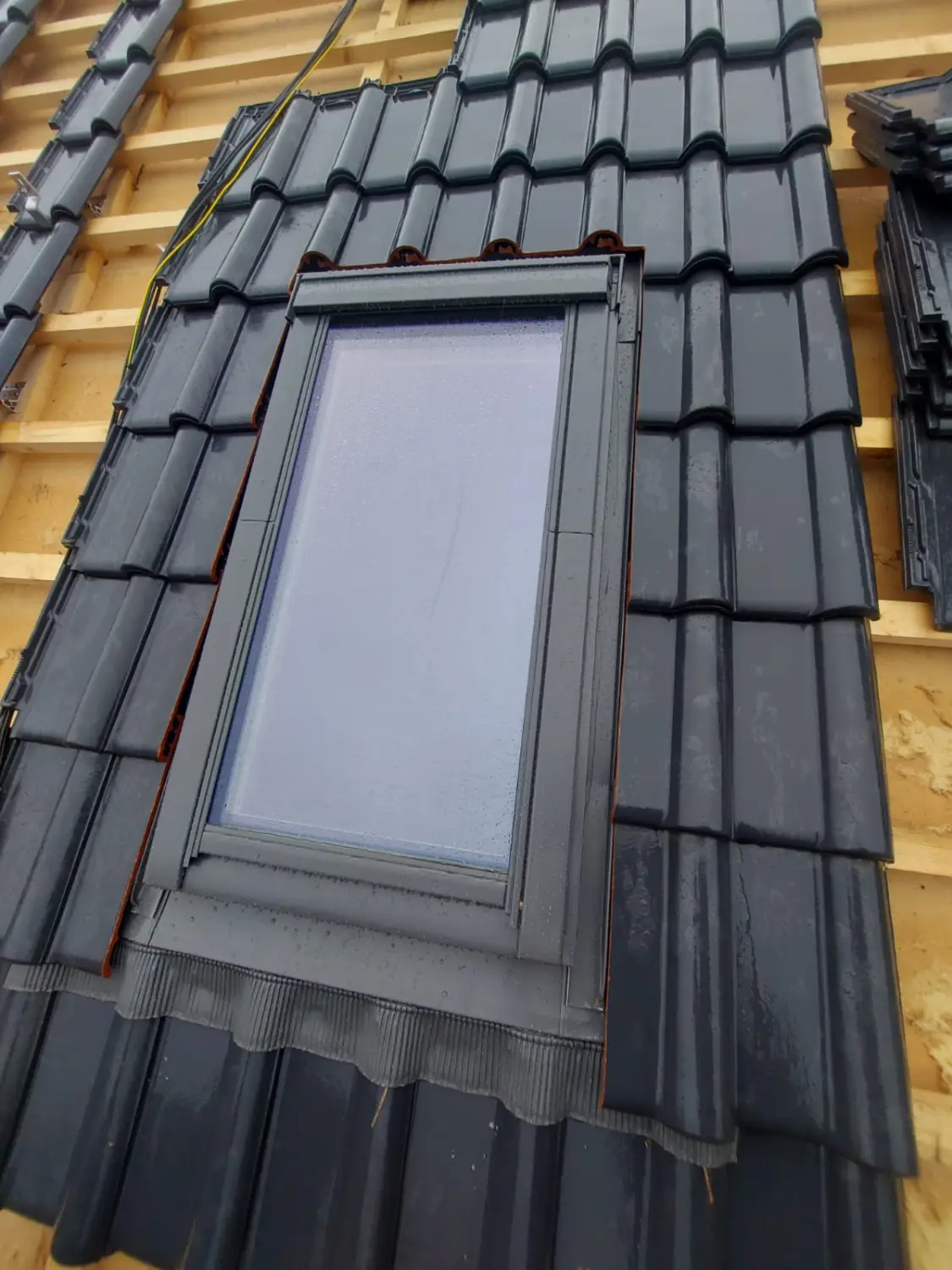 Fenster und Türen von Zimmerei Dennis Martens